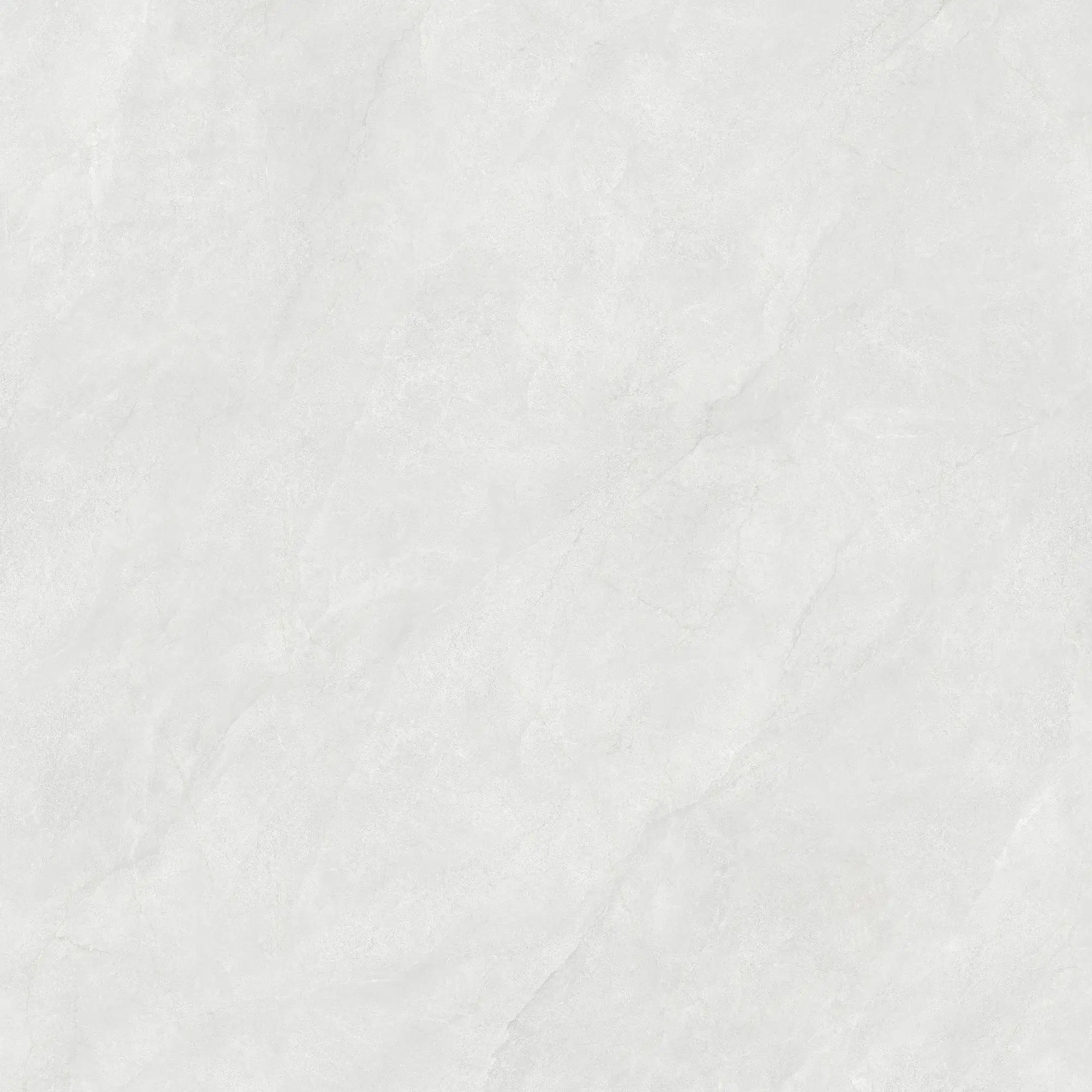CL26 GP121212