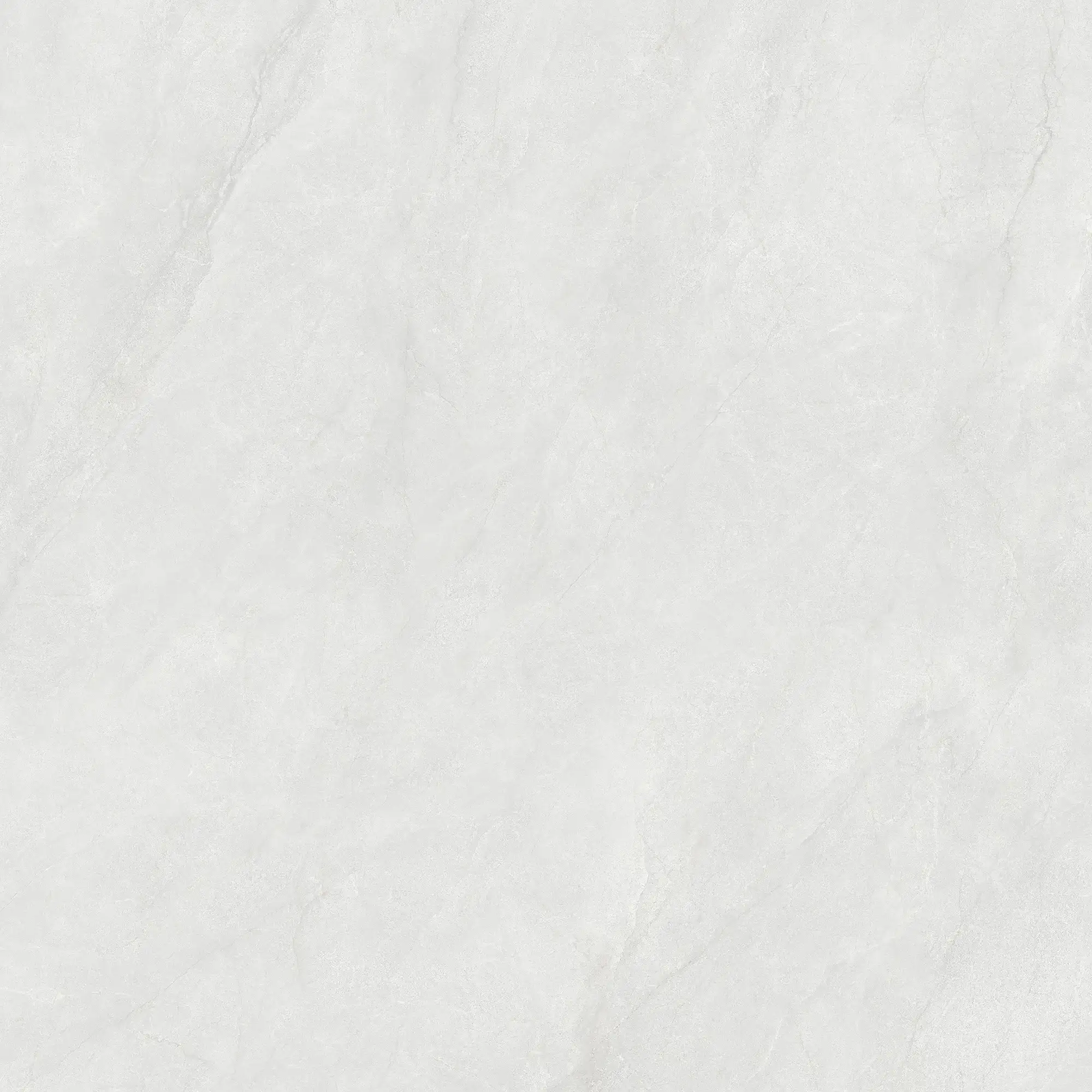 CL26 GP121212