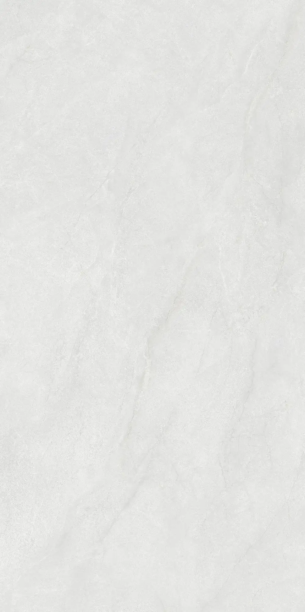CL26 GP61212