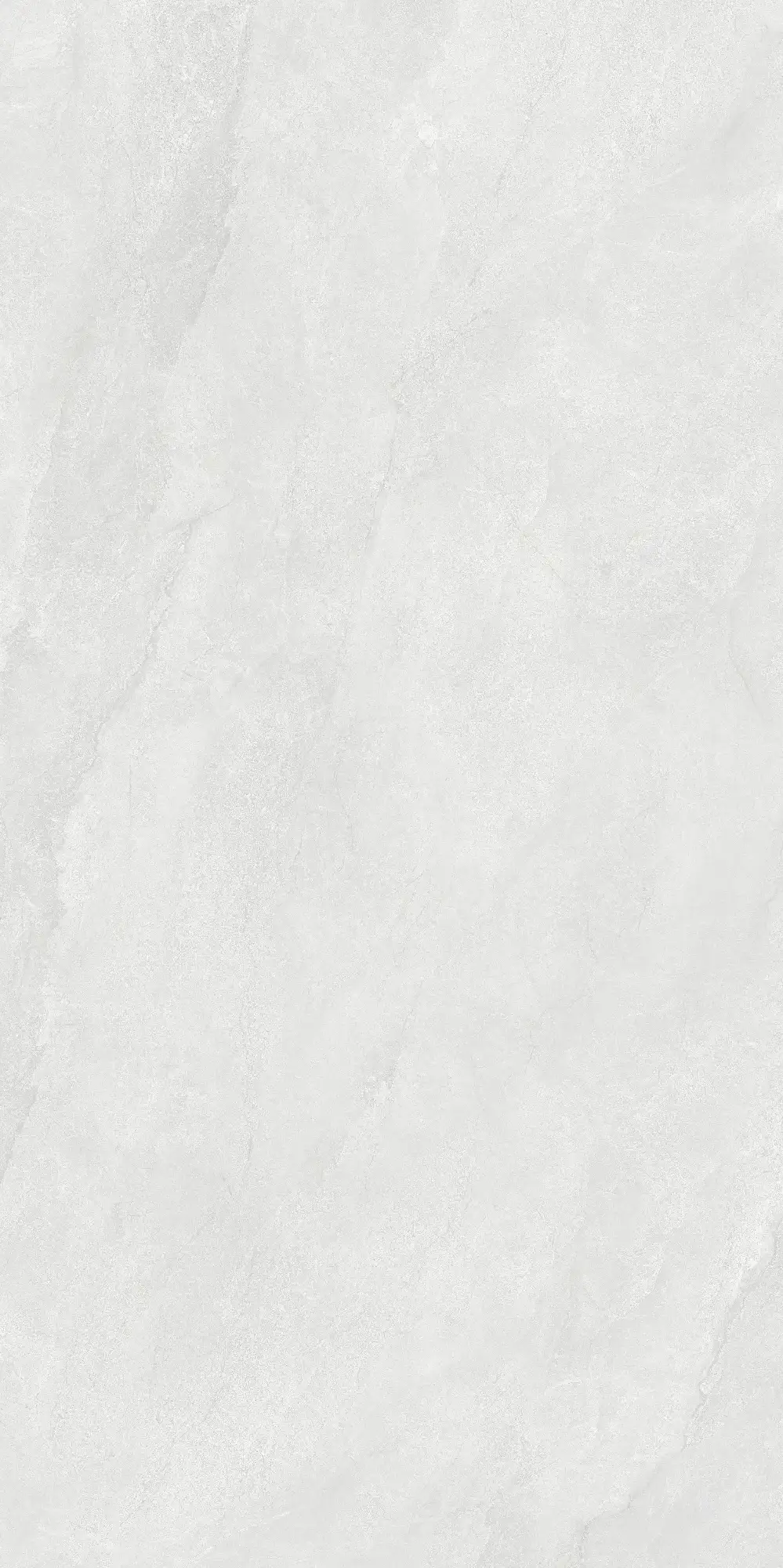 CL26 GP61212