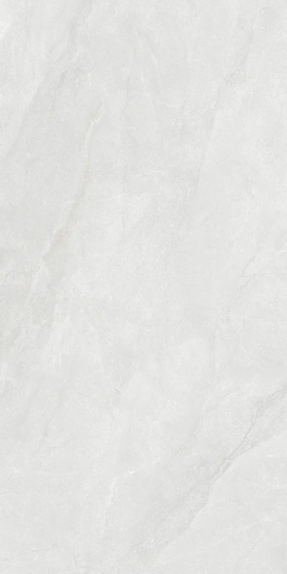 CL26 GP61212