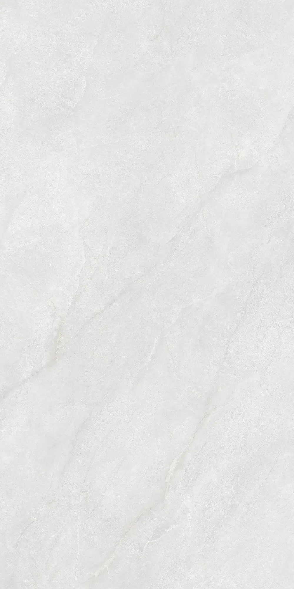 CL26 GP61212