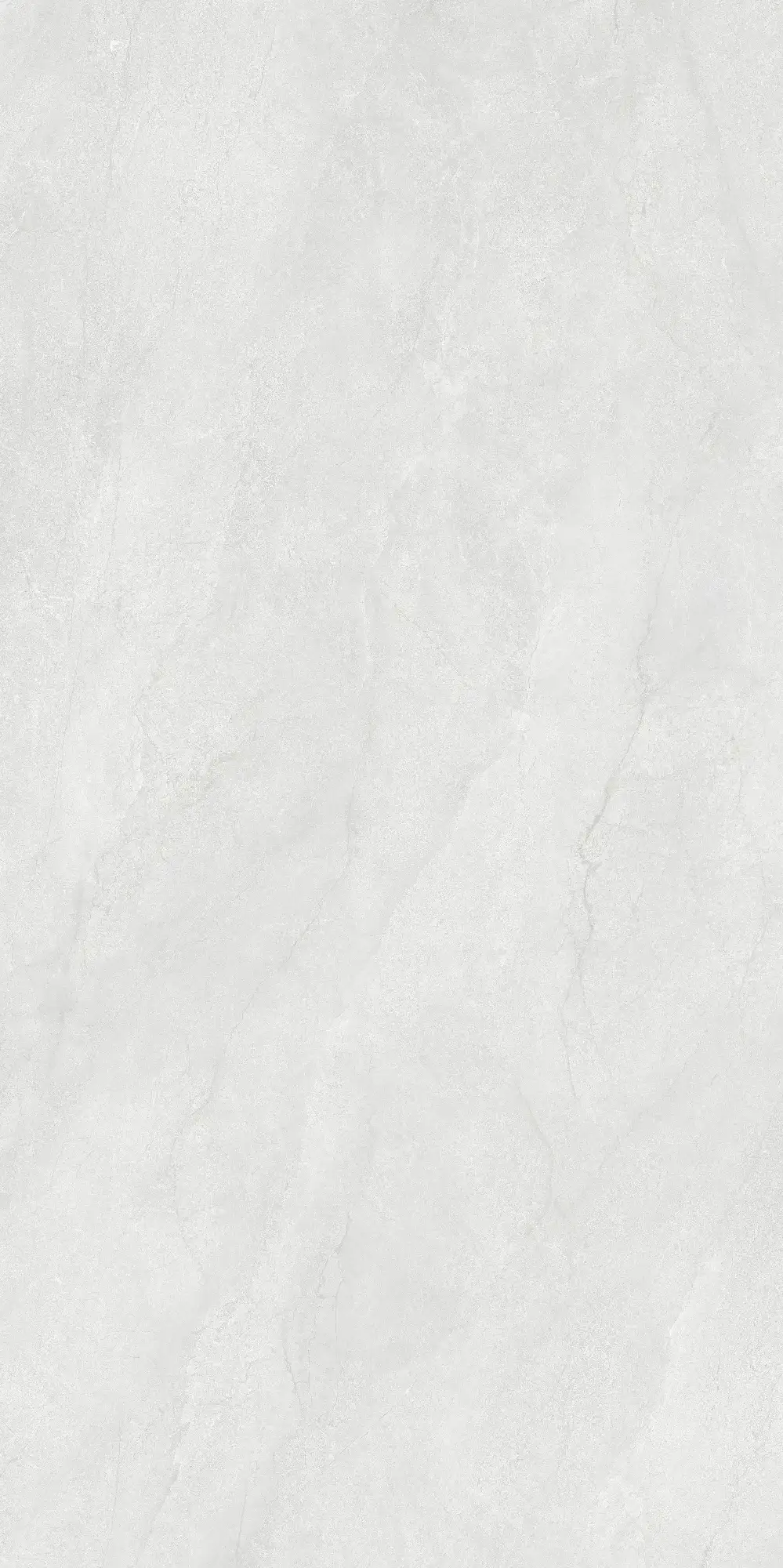 CL26 GP61212