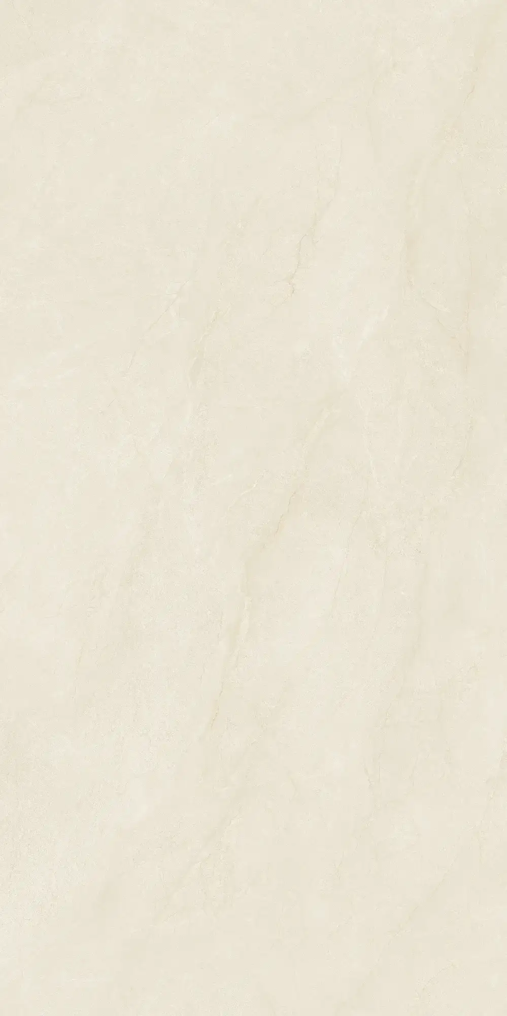 CL26 GP61213