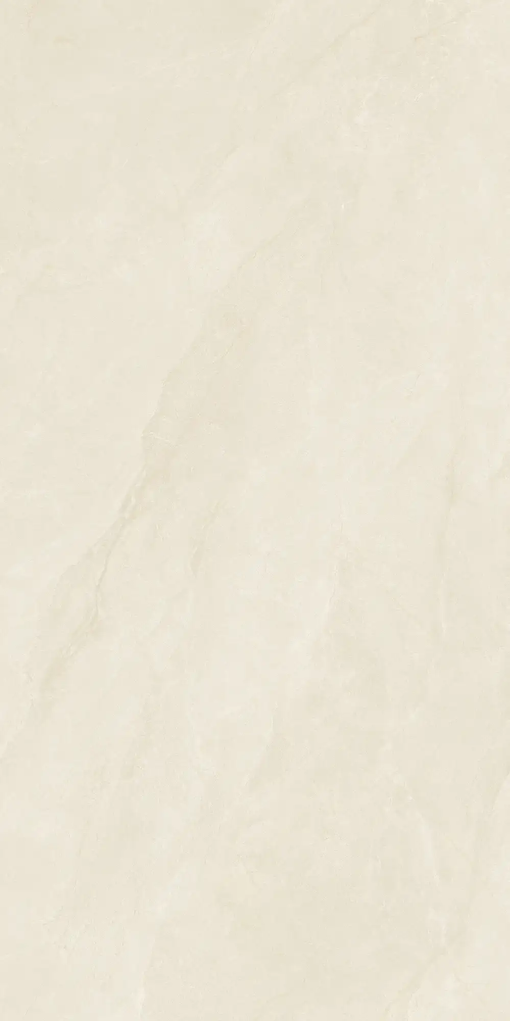CL26 GP61213