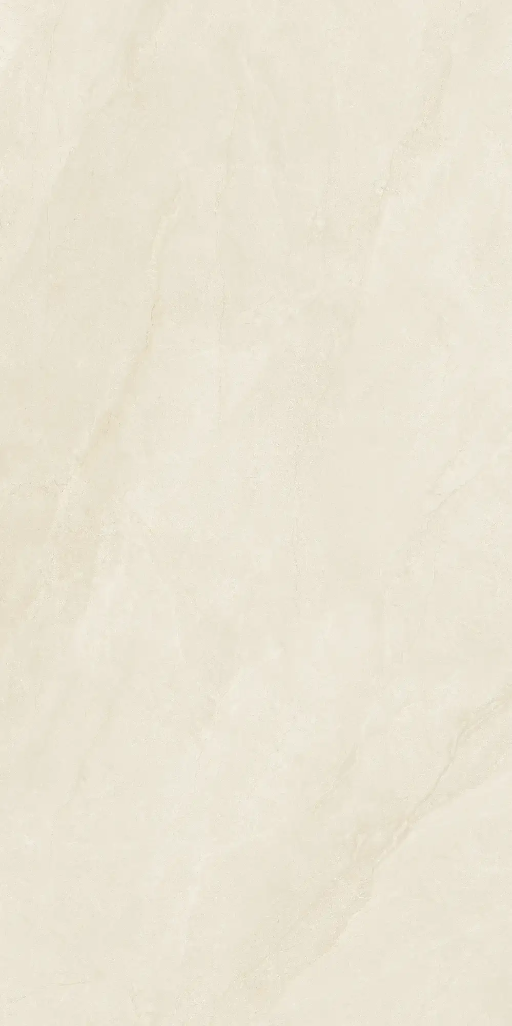CL26 GP61213