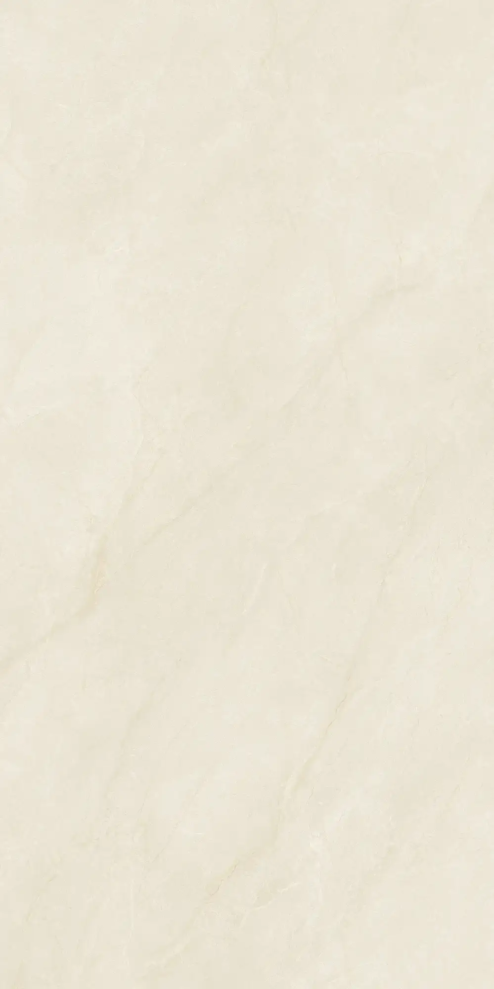 CL26 GP61213