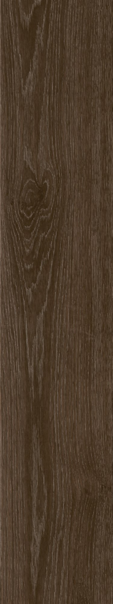 CL-GT15803