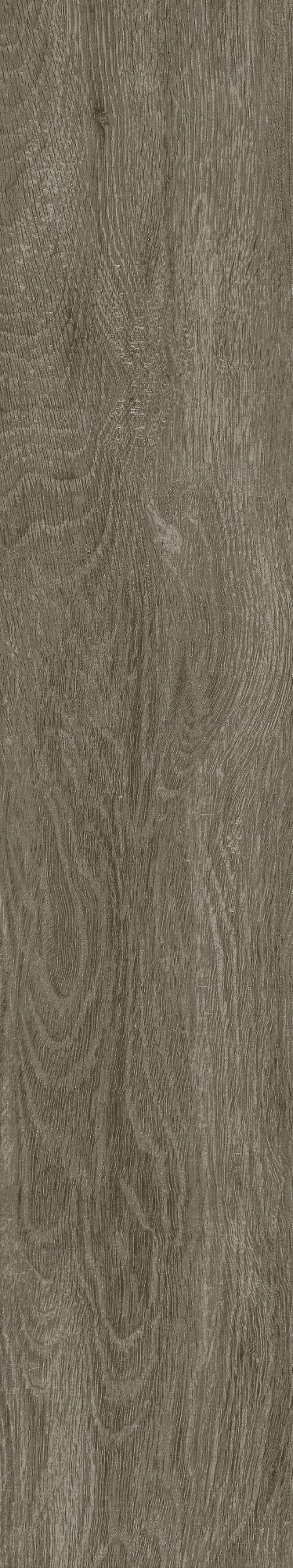 CL-GT15804