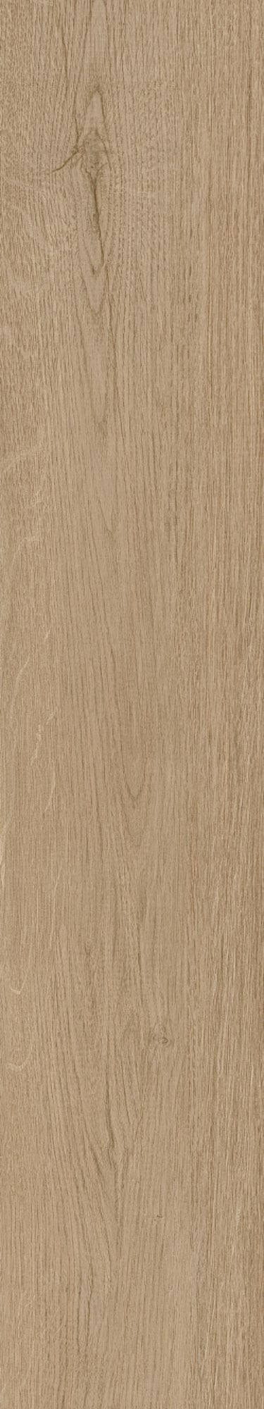SH-GT15801
