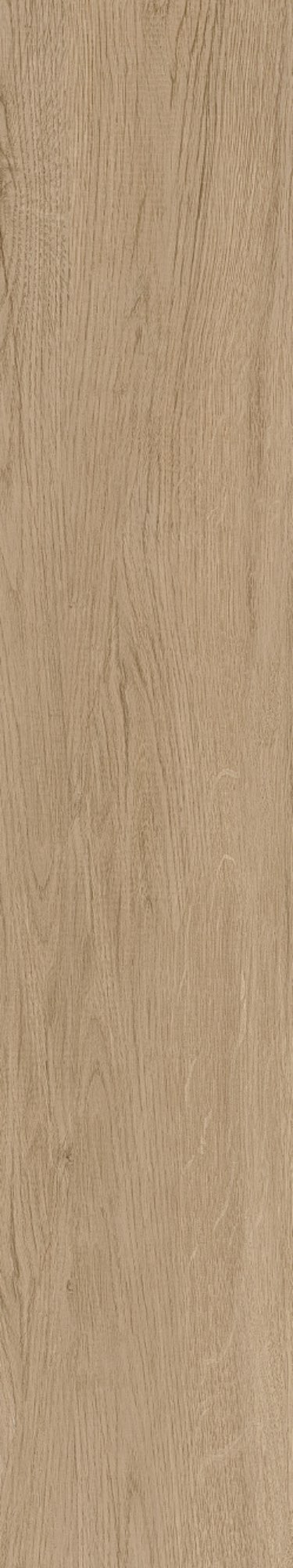 SH-GT15801