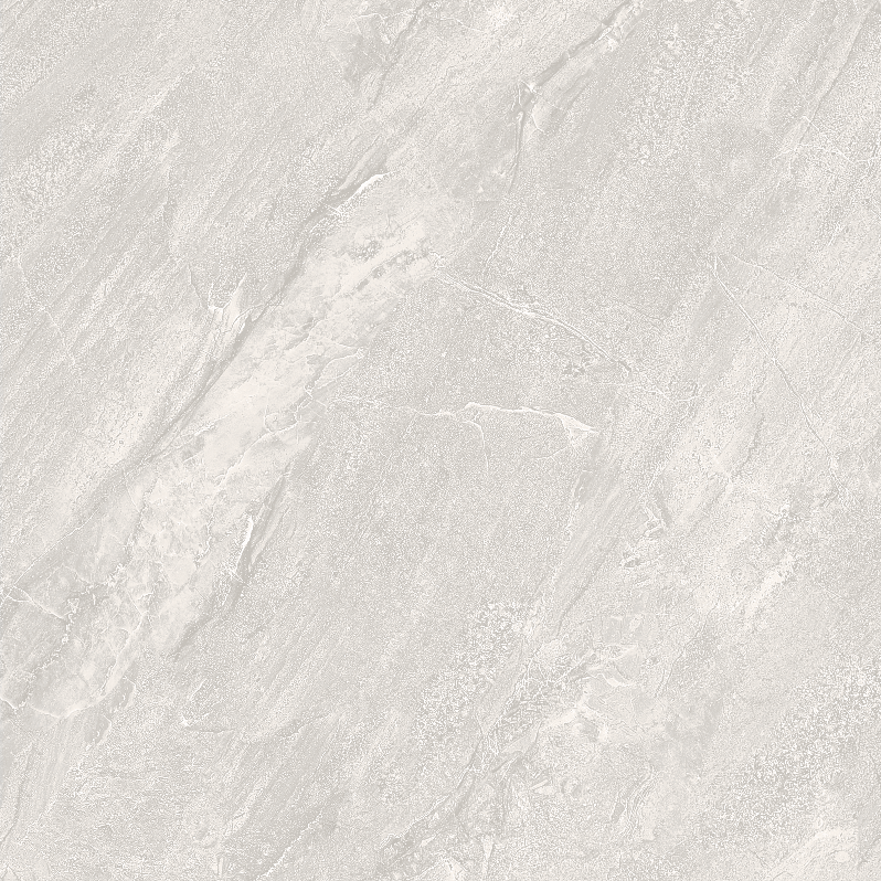 FL8 GM8801