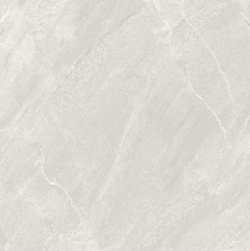 FL8 GM8801