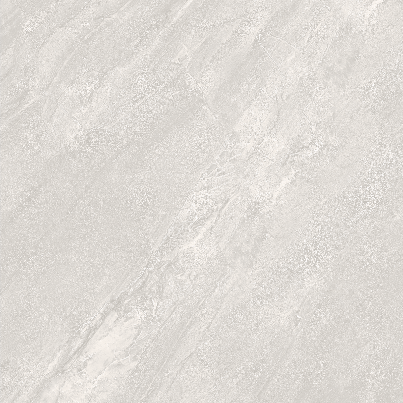 FL8 GM8801