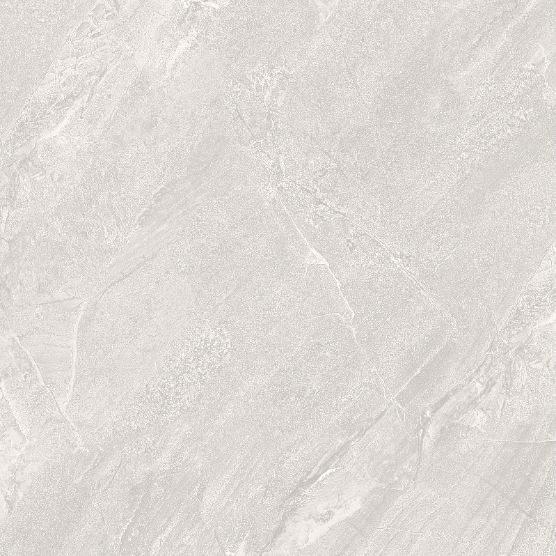 FL8 GM8801