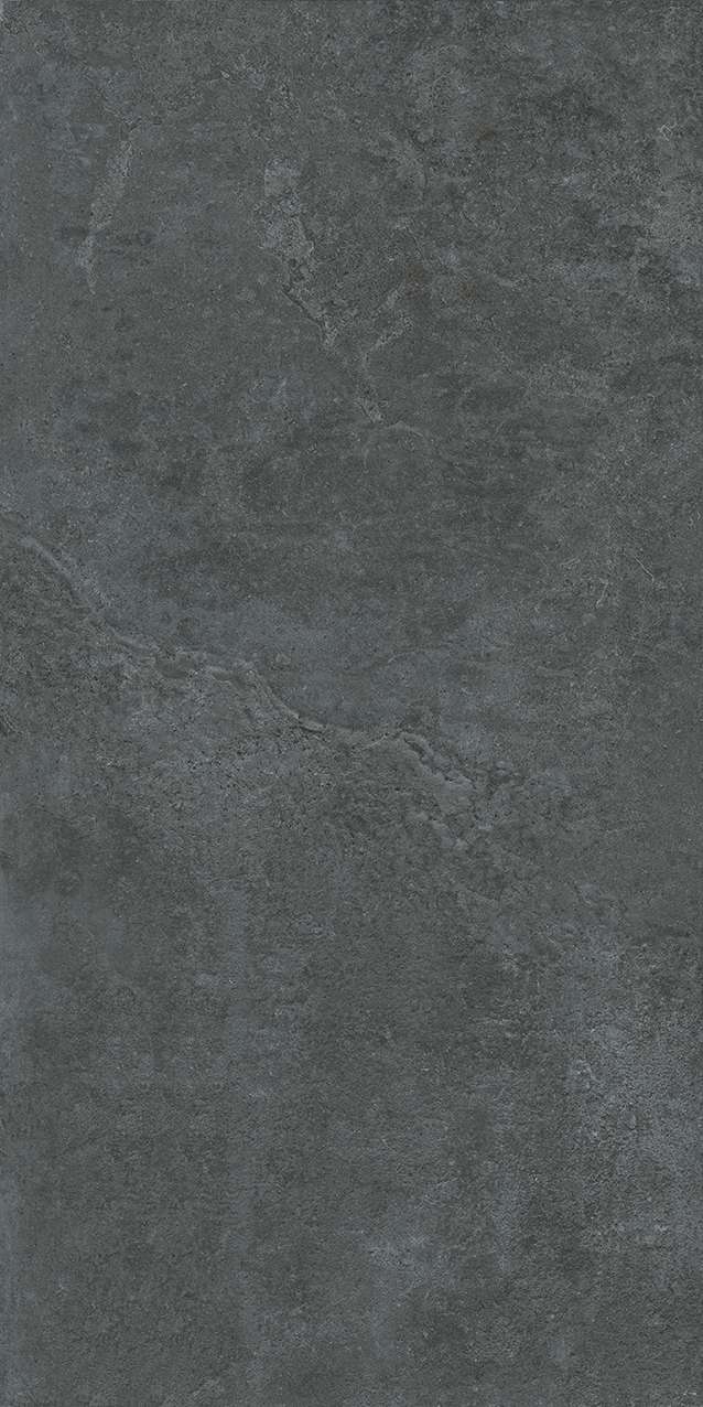 US1-GM81603