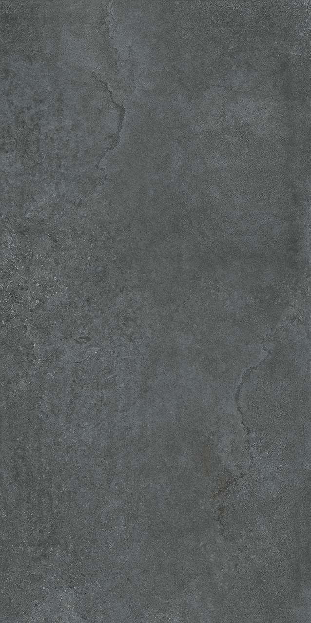 US1-GM81603