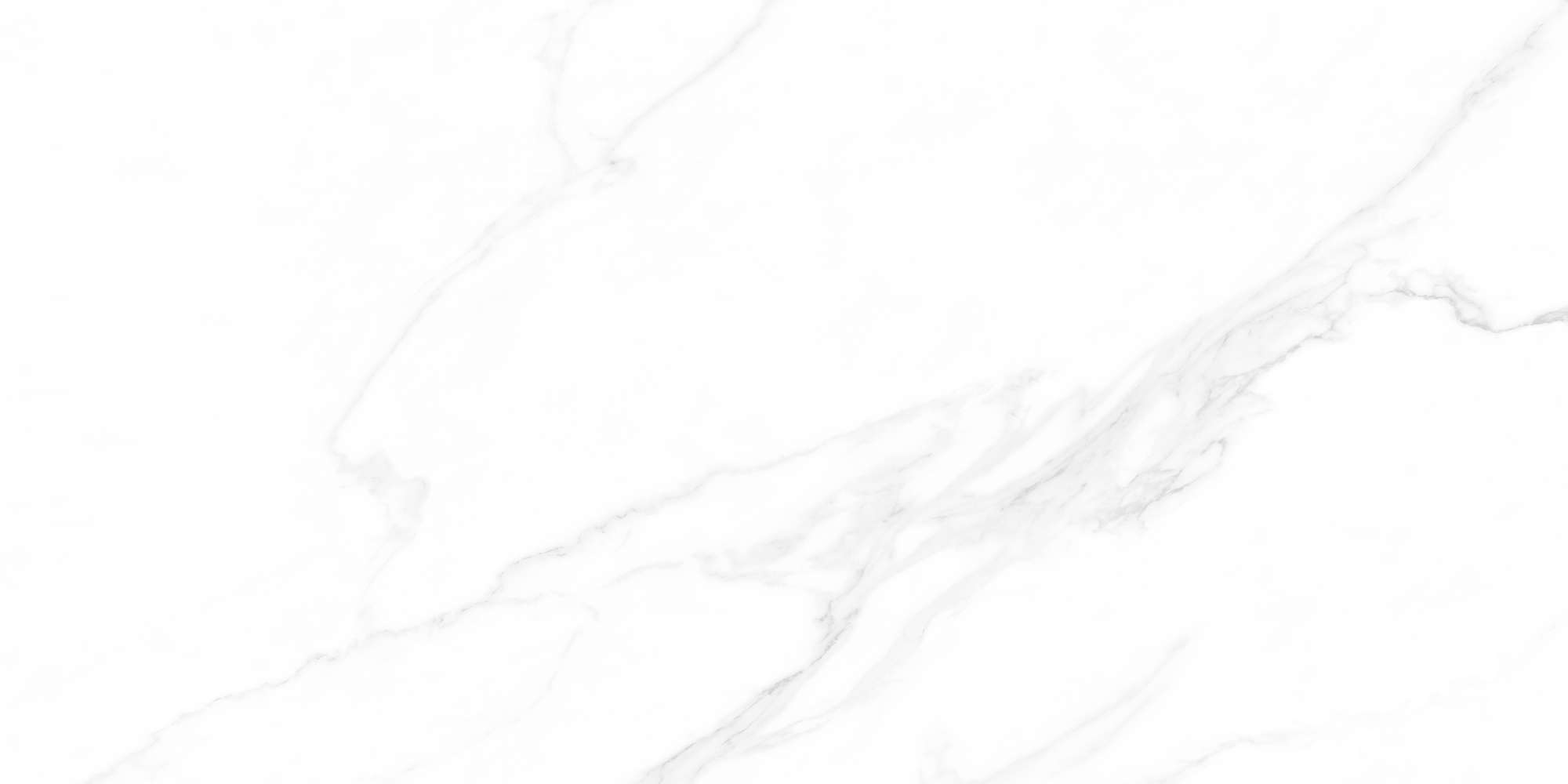 HPC3651