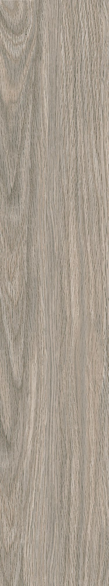 UA-GT15801