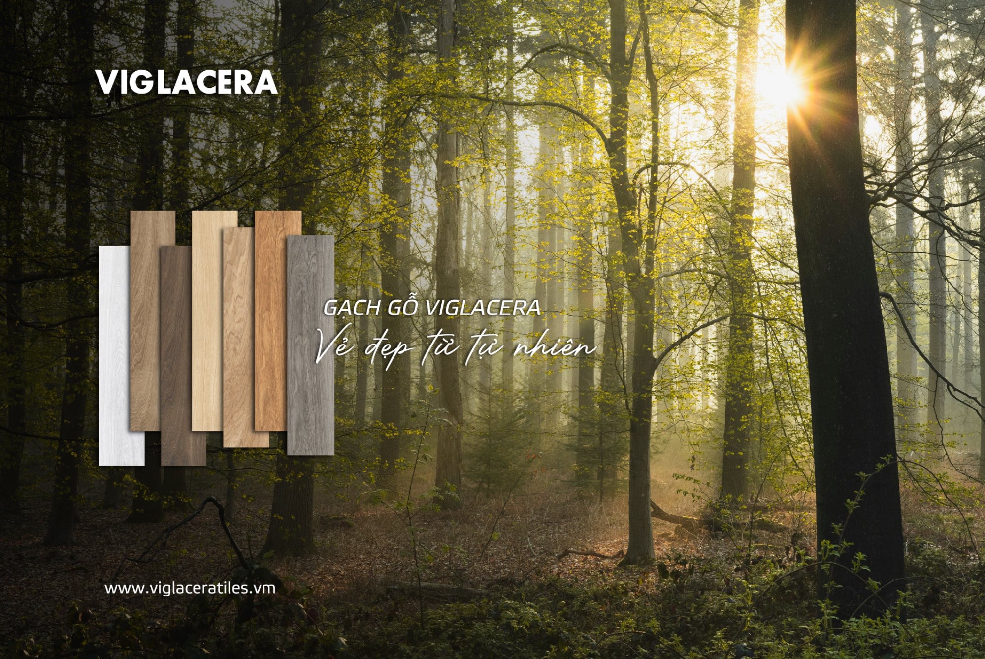 GẠCH GỖ VIGLACERA – CHẠM ĐẾN VẺ ĐẸP TỰ NHIÊN TRONG NHỊP SỐNG HIỆN ĐẠI