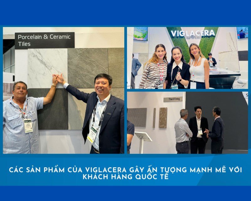 viglacera010525anh1.jpg