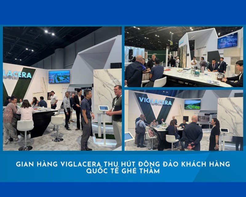 viglacera010525anh2.jpg