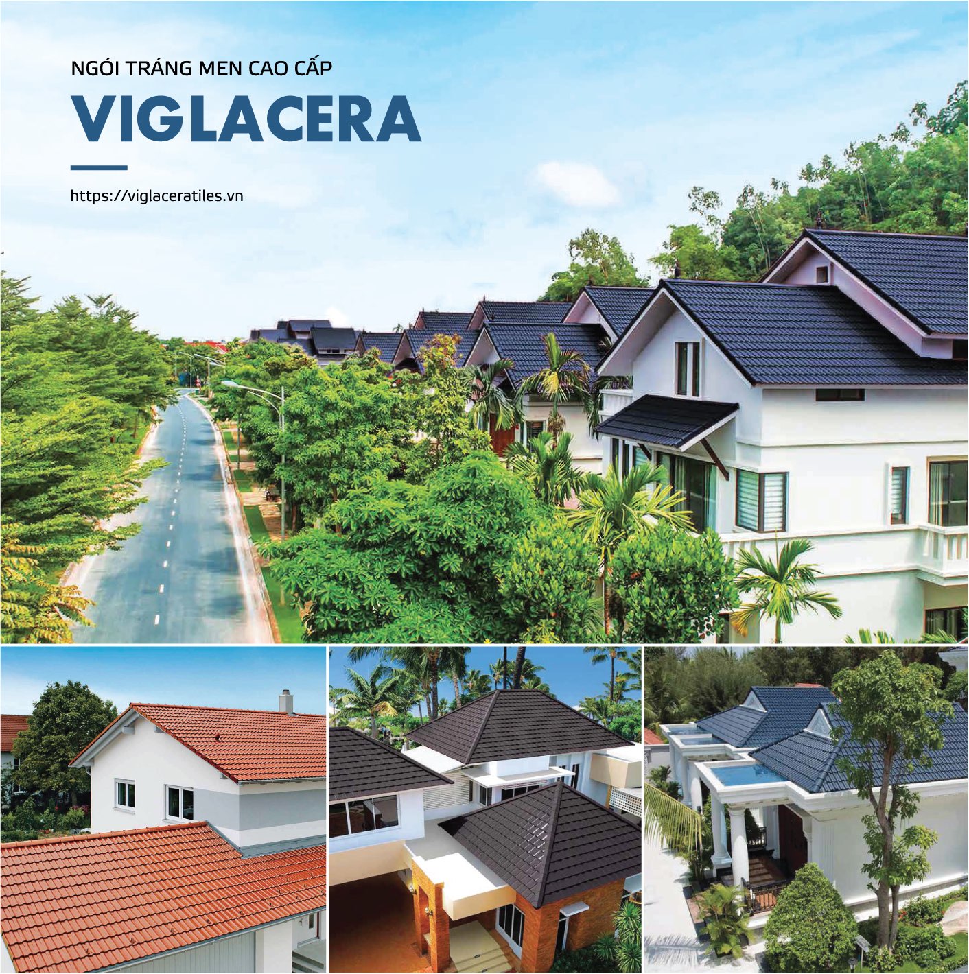ngoi-trang-men-viglacera.jpg